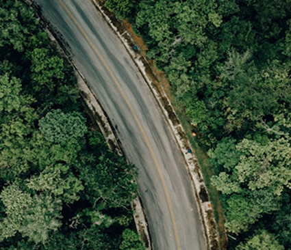 Carretera en medio de un bosque